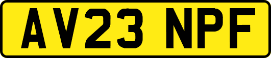 AV23NPF