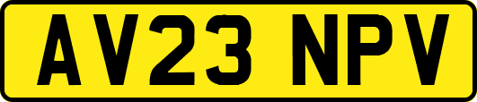 AV23NPV