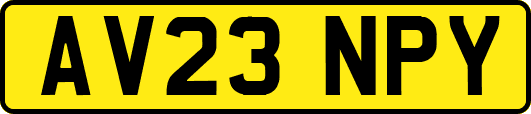 AV23NPY