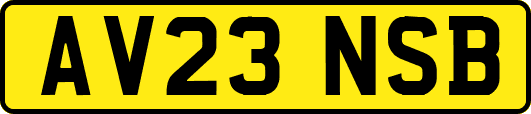 AV23NSB