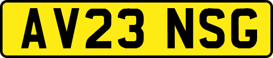 AV23NSG