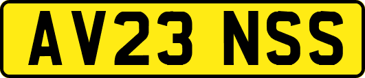 AV23NSS