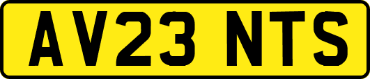 AV23NTS