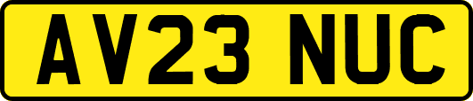 AV23NUC