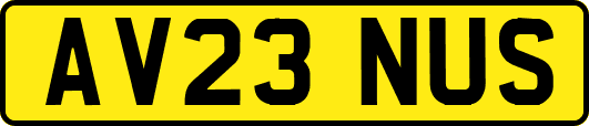 AV23NUS