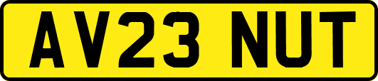 AV23NUT
