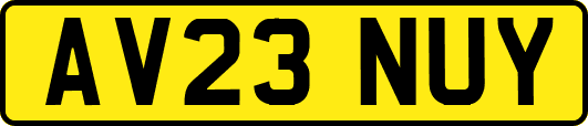 AV23NUY