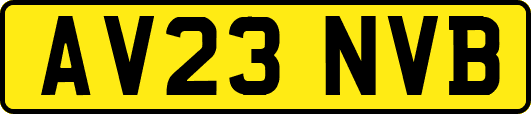 AV23NVB