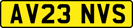 AV23NVS