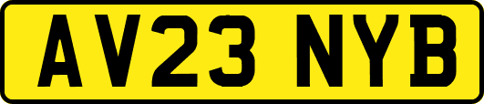 AV23NYB