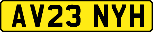 AV23NYH