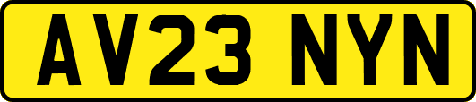 AV23NYN
