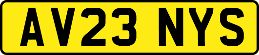 AV23NYS