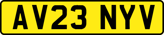 AV23NYV