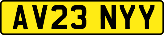AV23NYY
