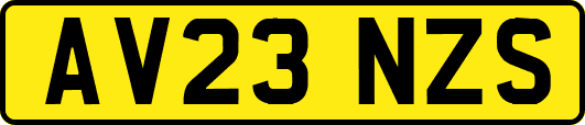AV23NZS
