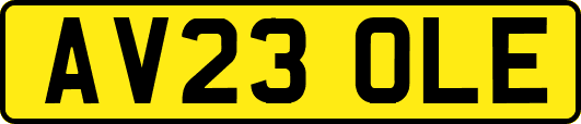 AV23OLE