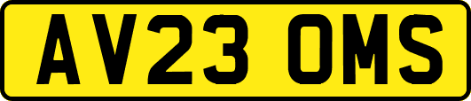 AV23OMS