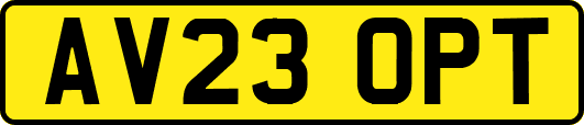 AV23OPT