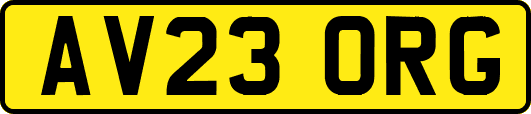 AV23ORG