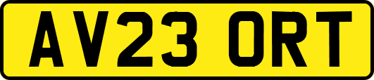 AV23ORT
