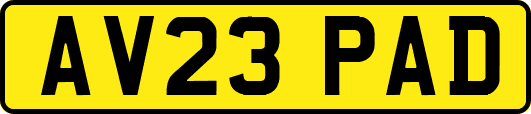 AV23PAD