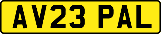 AV23PAL