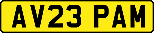 AV23PAM
