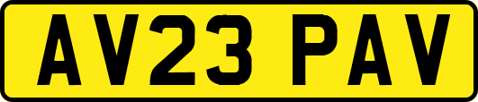 AV23PAV