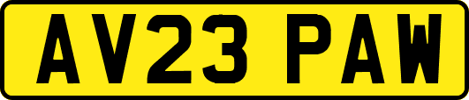 AV23PAW