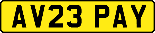 AV23PAY