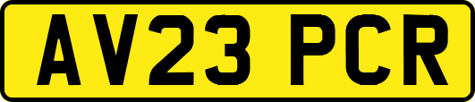 AV23PCR