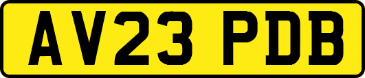 AV23PDB