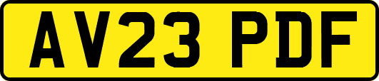 AV23PDF