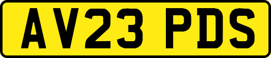 AV23PDS
