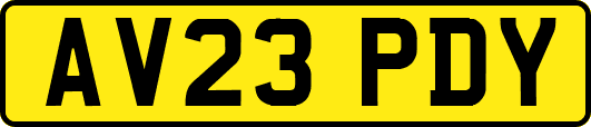AV23PDY
