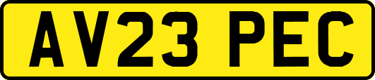 AV23PEC