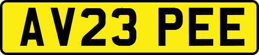 AV23PEE