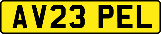 AV23PEL
