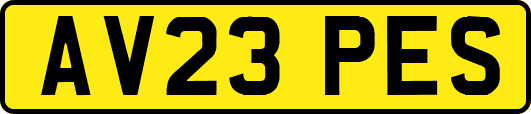 AV23PES