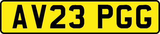 AV23PGG