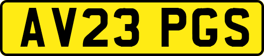 AV23PGS