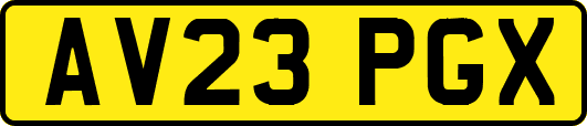 AV23PGX