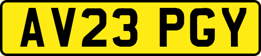 AV23PGY