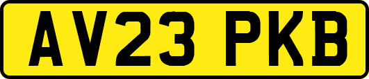 AV23PKB