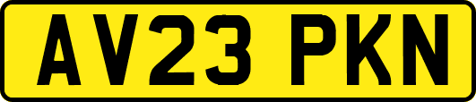 AV23PKN