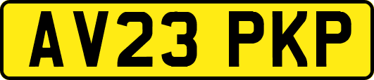 AV23PKP