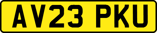AV23PKU