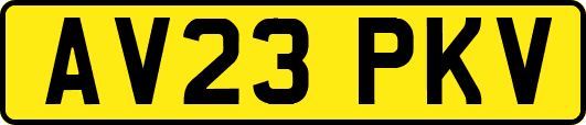 AV23PKV