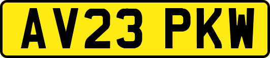 AV23PKW